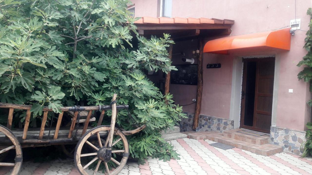 Arad Apartment - Airport Area Exterior photo